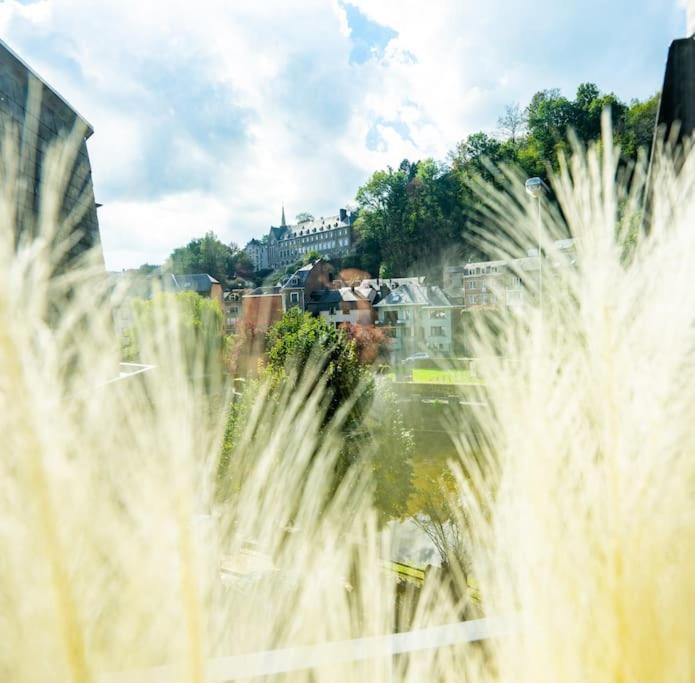 Le Comble Amoureux La Roche-en-Ardenne Exterior foto